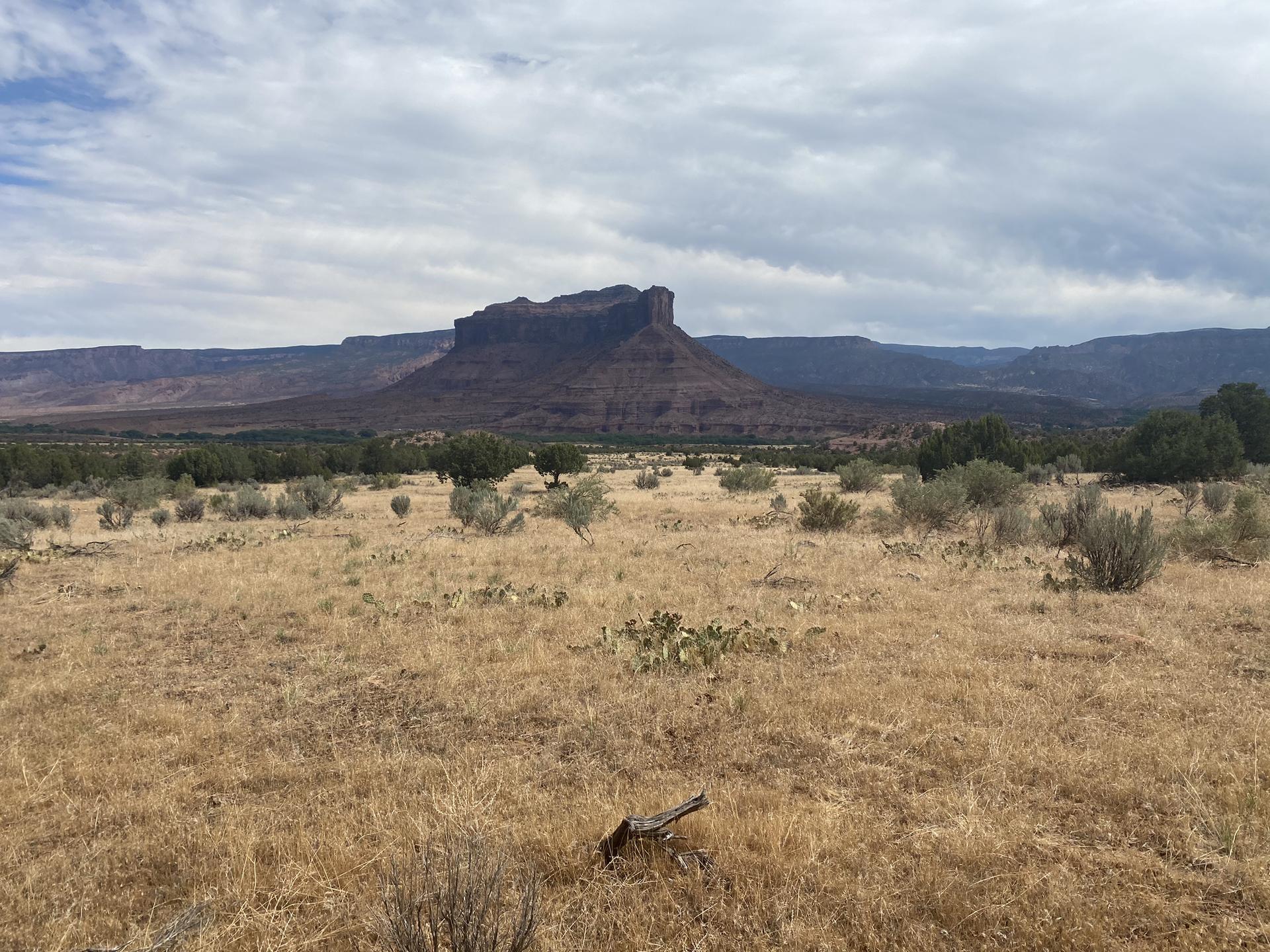 Vast dry field with a distant flat-topped mesa under a cloudy sky.