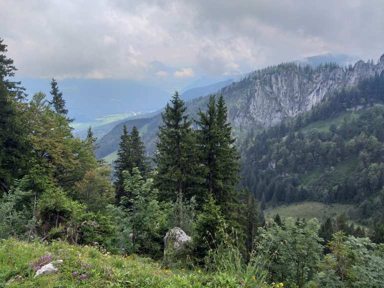 Staffelstein – Steinlingalm Runde von Aschau im Chiemgau | Wanderung ...