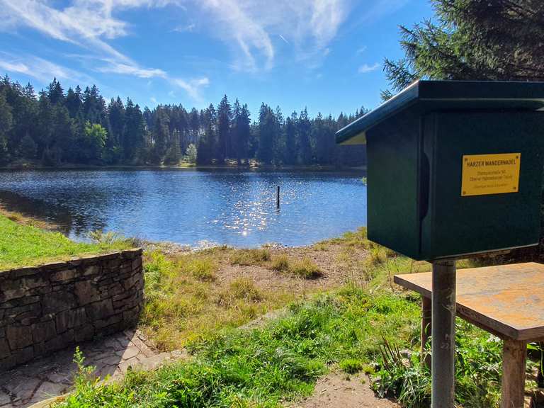Oberer Hahnebalzer Teich (HWN 141) Wanderungen und Rundwege komoot