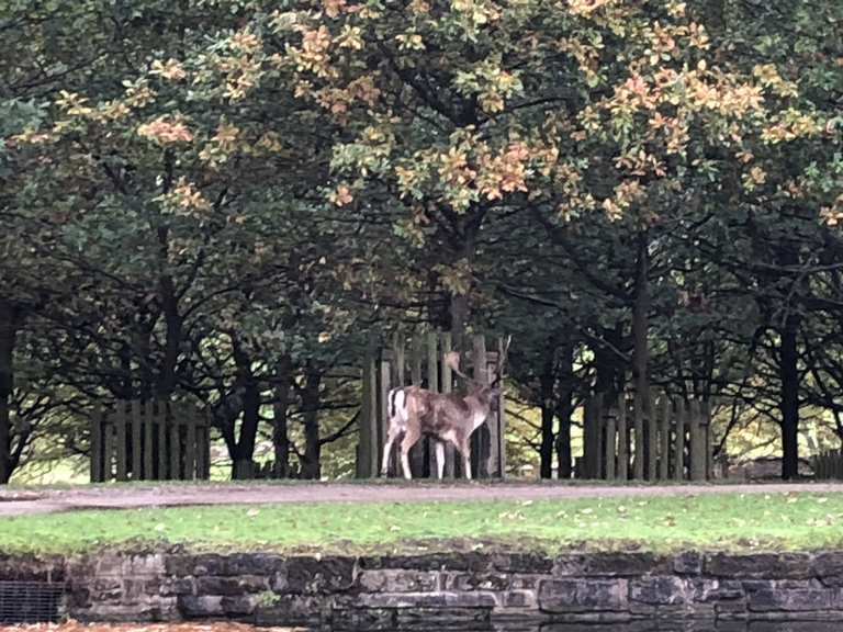 Dunham Massey Routes for Walking and Hiking Komoot