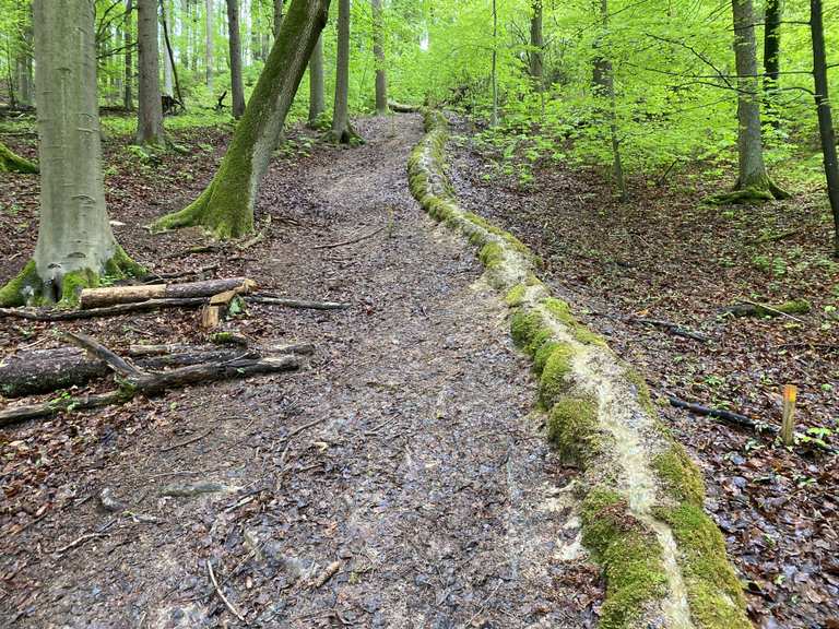 Steinerne Rinne: Wanderungen und Rundwege | komoot