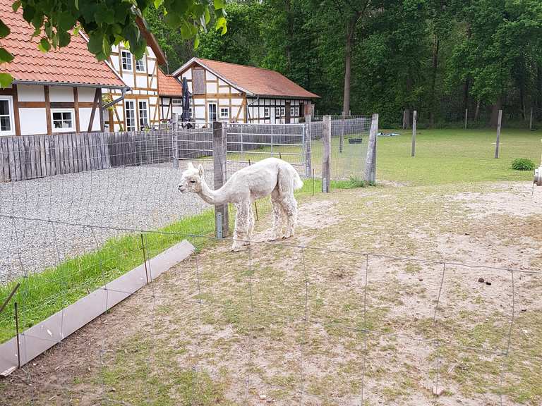 Alpaka Ranch Radtouren und Radwege komoot