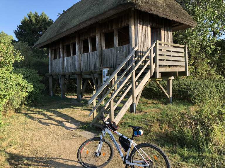 Aussicht nach Öhe und Hiddensee : Radtouren und Radwege | komoot