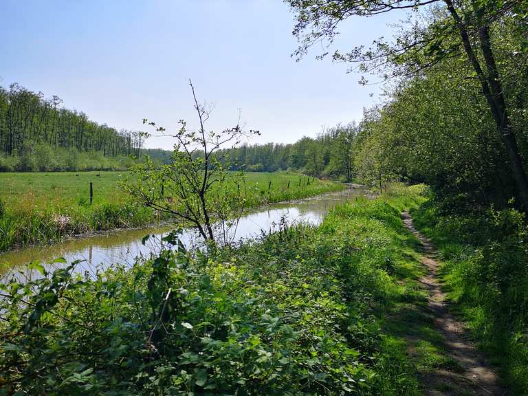 Houten brug de Wissel Limburg, Niederlande Wandertipps &amp; Fotos Komoot