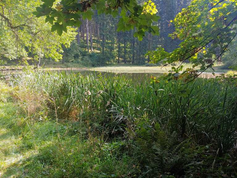 Schwarzer Teich MountainbikeTouren und Trails komoot
