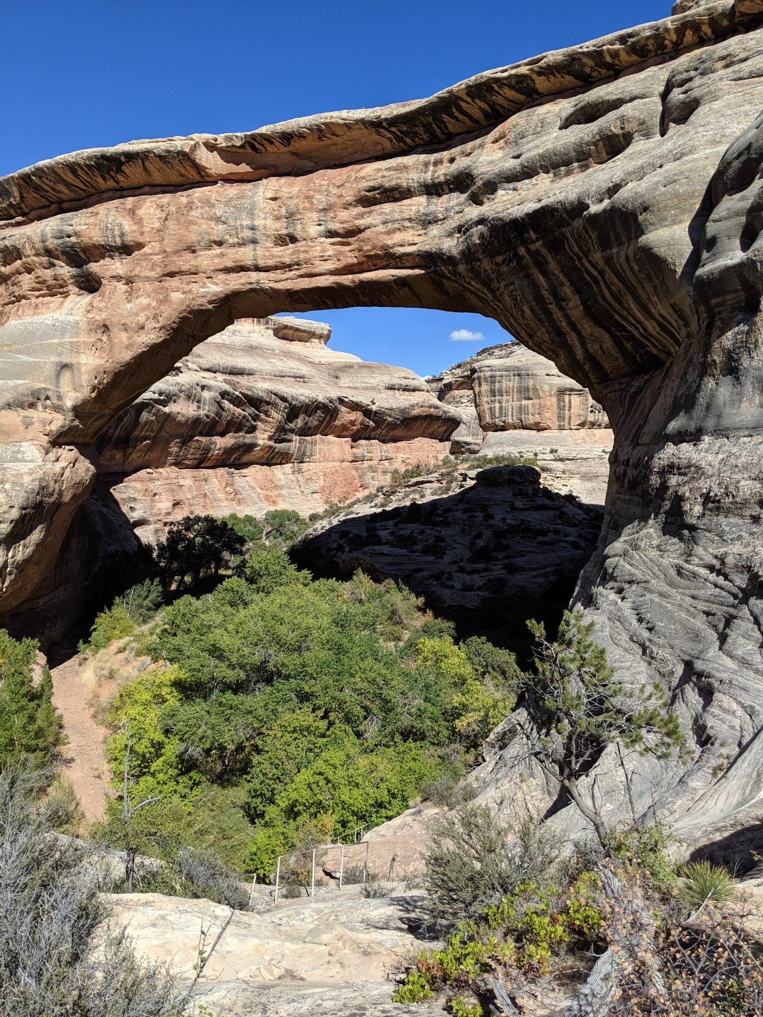 Large natural rock arch spanning a green canyon under a clear blue sky.