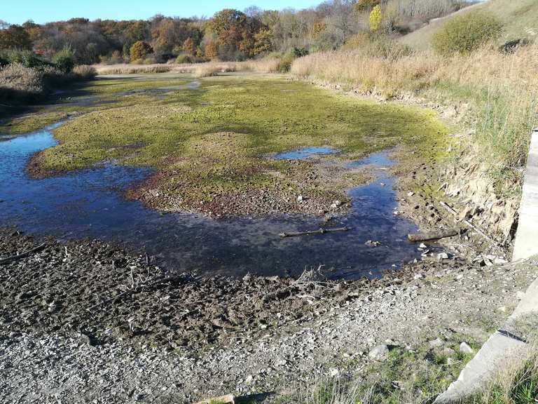 Giesener Teiche Mountain Bike Trails & Tracks Komoot