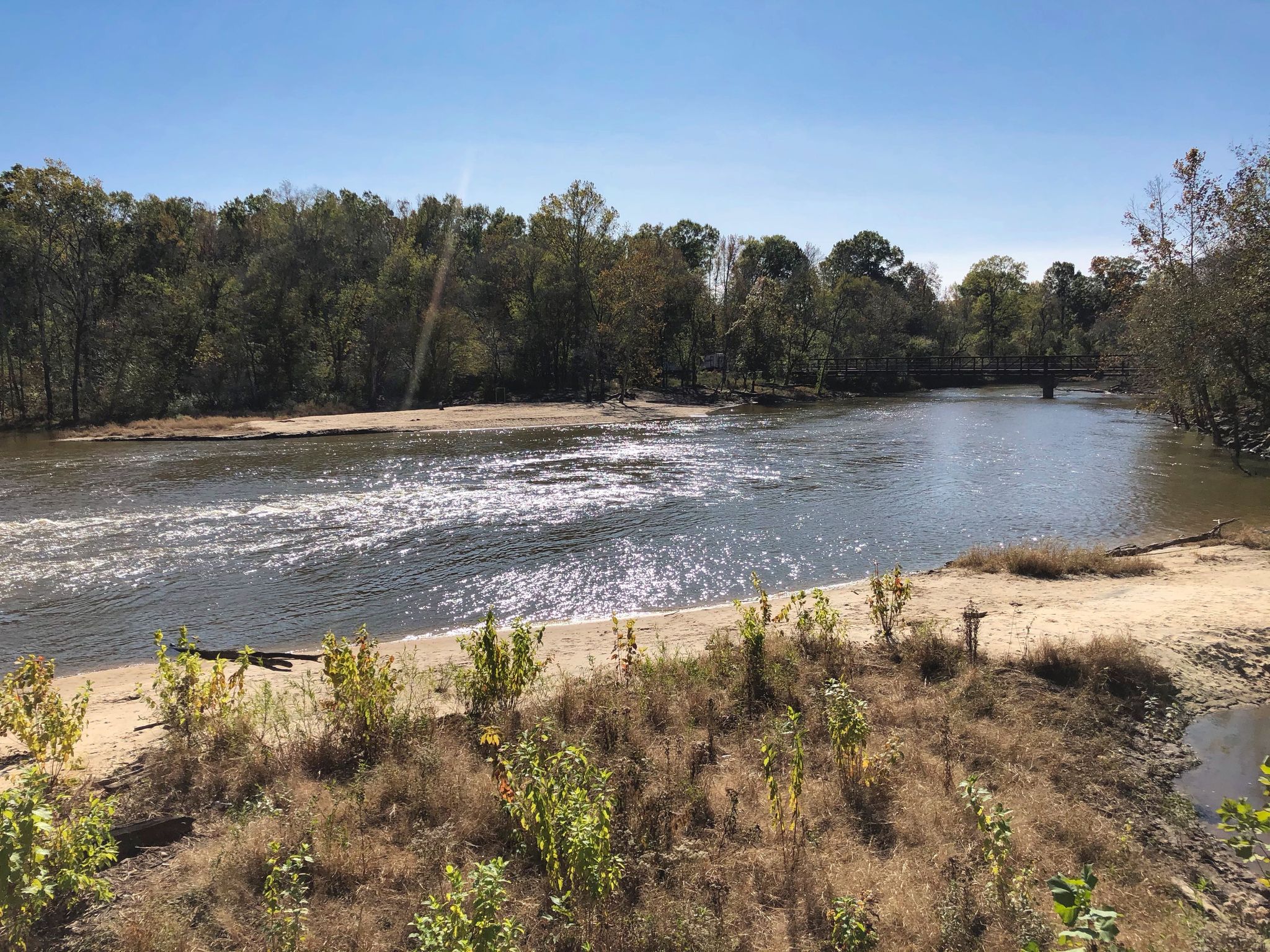 A wide river flows past sandy banks and a dense green forest. - Anderson Point Park – Neuse River Pedestrian Bridge loop from Knightdale Blvd at Shoppes at Midway (Chili's)