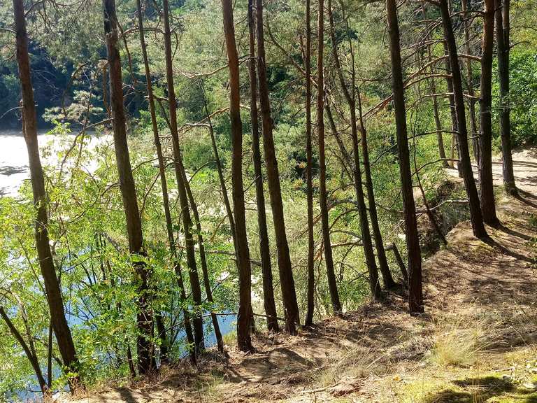 Zum Grünen See Eck Hansteinweiher Ufer Runde von