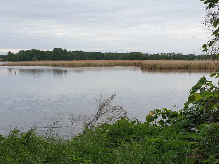 Peitzer Teiche Wanderungen und Rundwege komoot