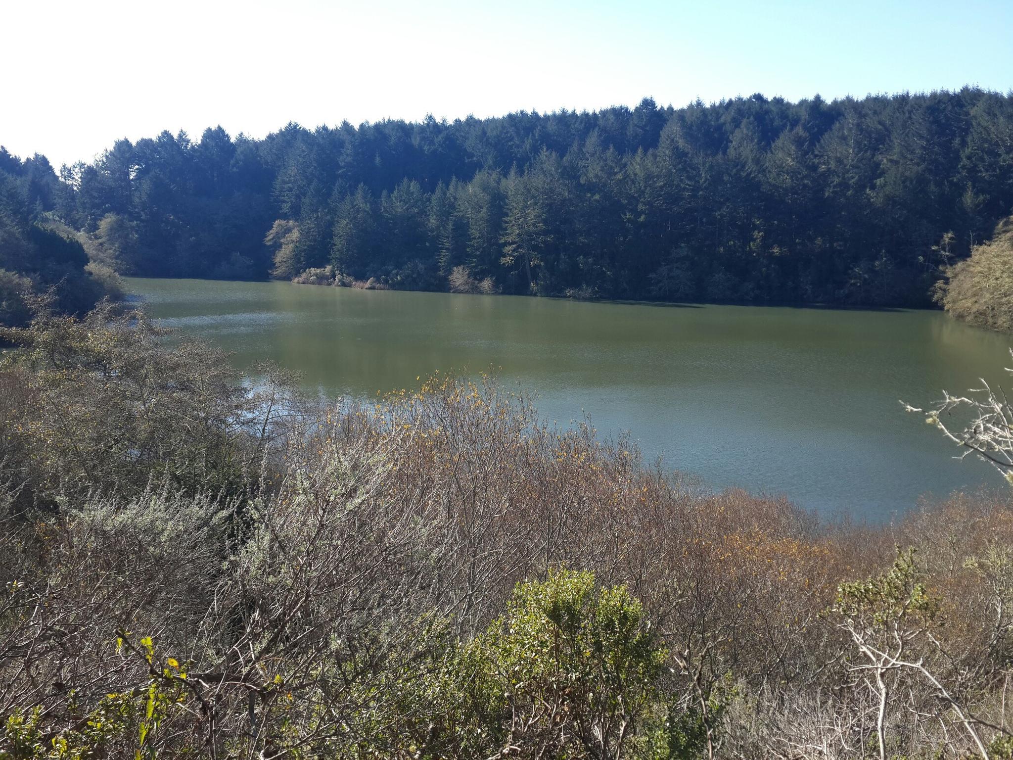 A serene lake bordered by a dense forest and dry vegetation on a clear day.