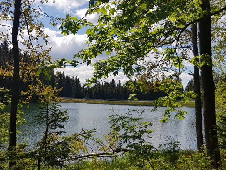 Kuttelbacher Teich Wanderungen und Rundwege komoot