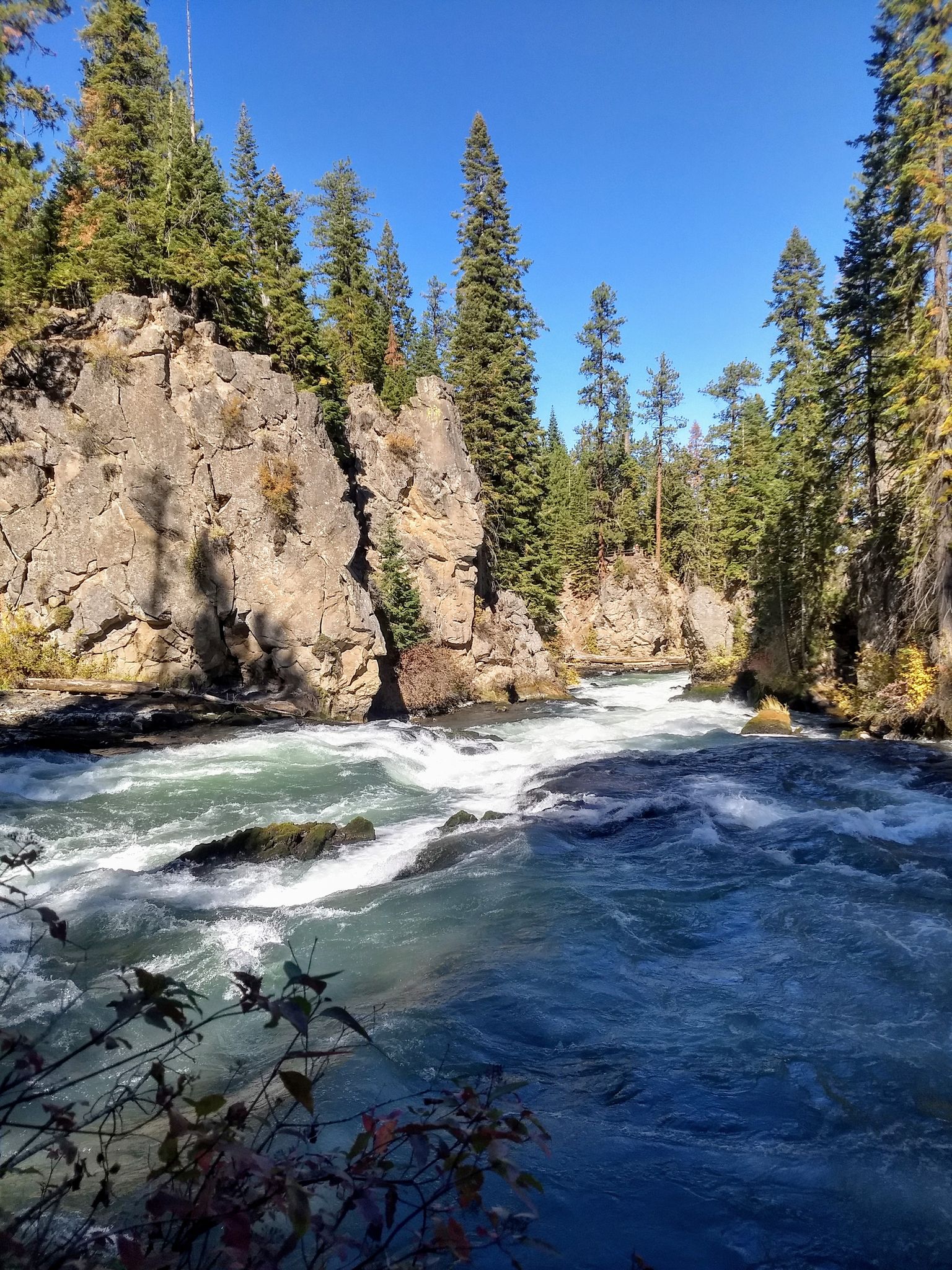 River with rapids flows past rocky cliffs and tall pine trees under blue sky. - Deschutes River Trail: Dillon Falls to Benham Falls