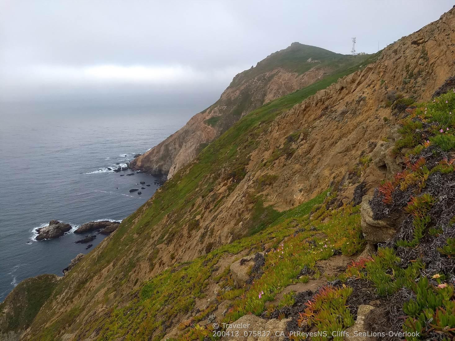 Steep, rugged coastal cliffs covered in green vegetation overlooking a calm ocean.