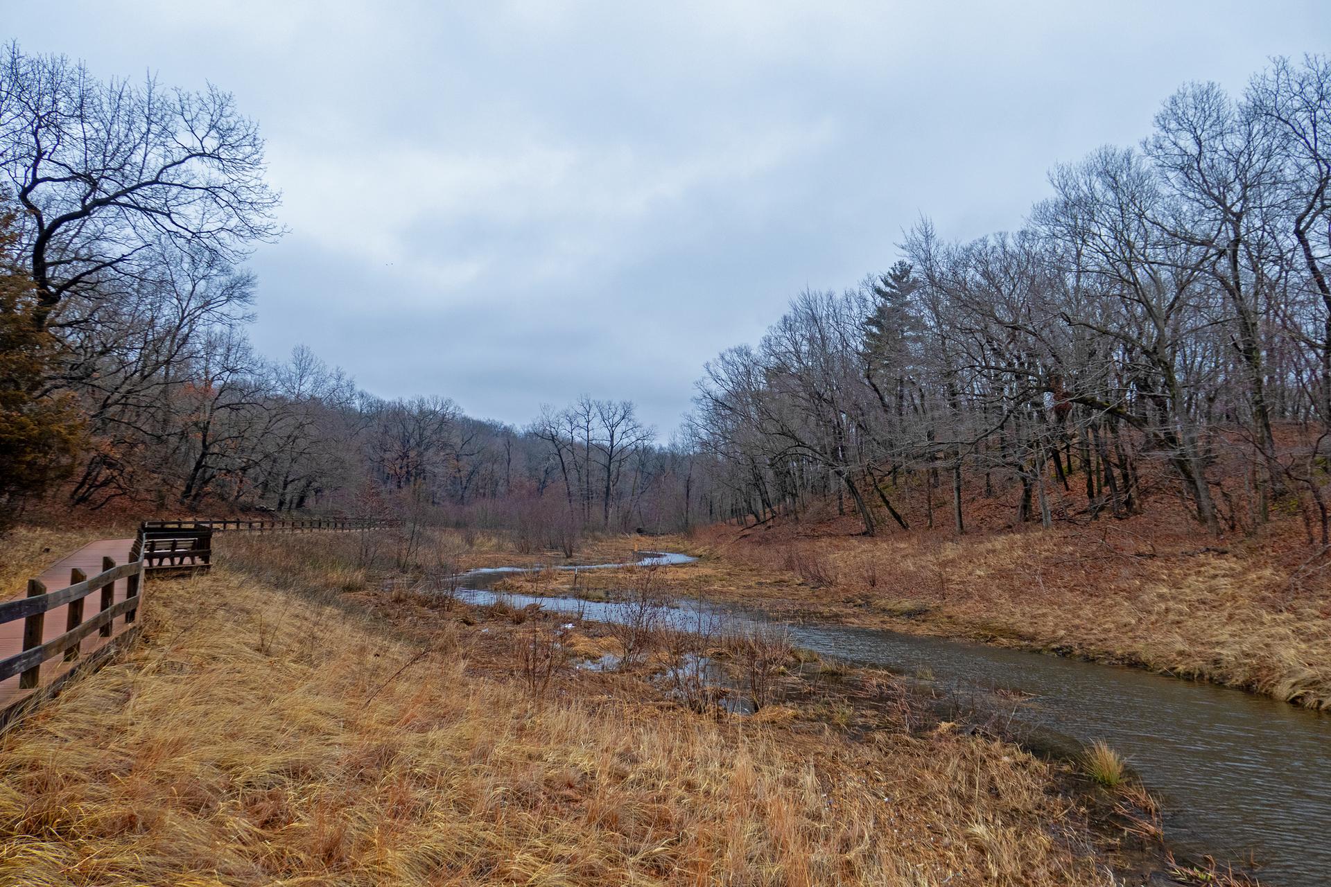 Winding river next to a boardwalk, surrounded by bare trees.