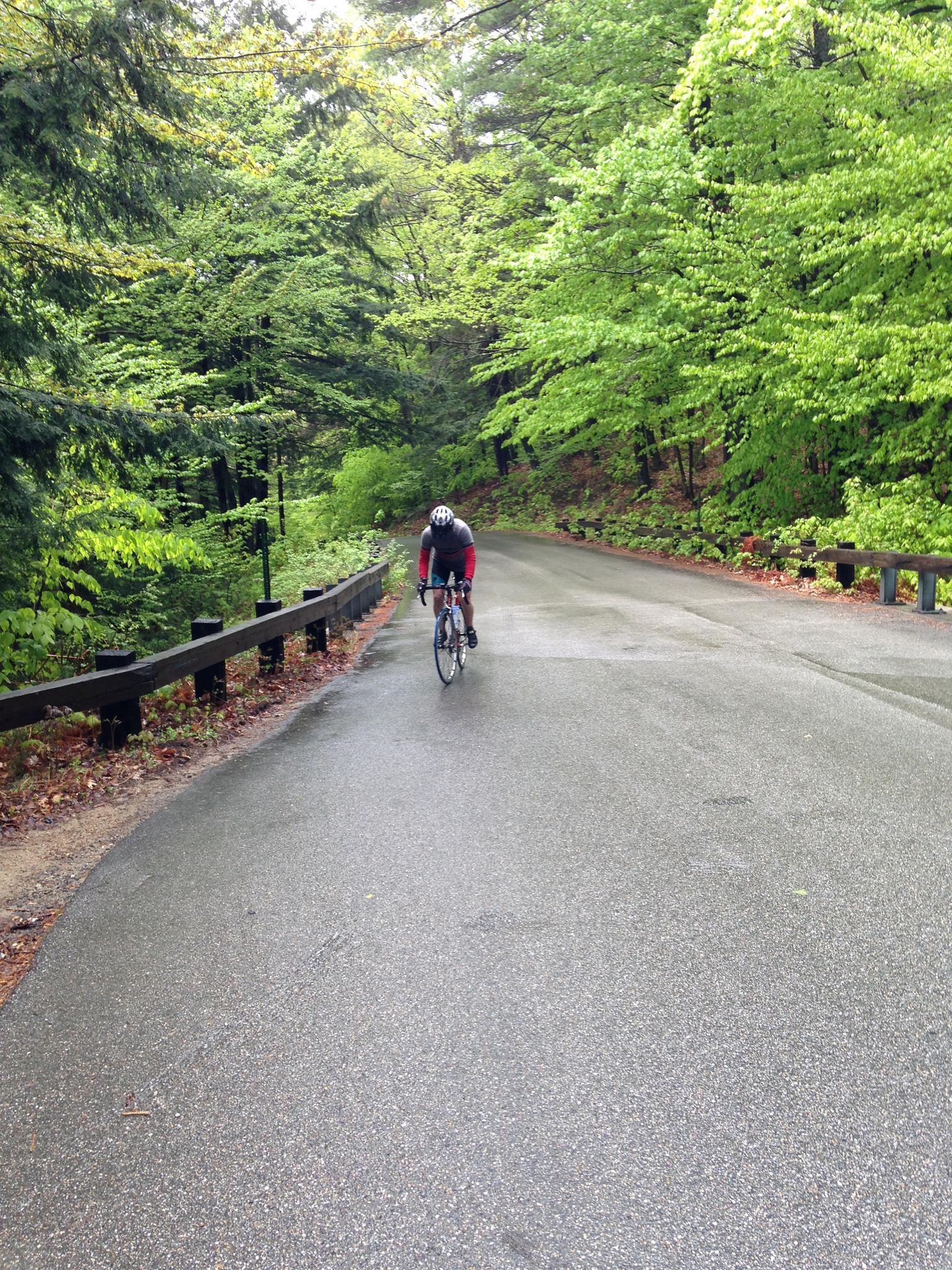 A cyclist rides on a wet, paved road through a lush green forest.