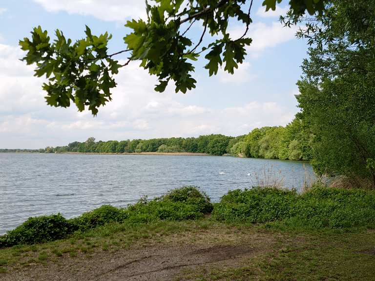 Großer Teich in Wanderungen und Rundwege komoot