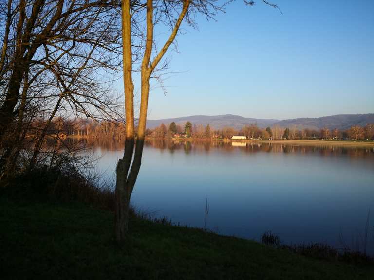 Wiesensee Routes for Walking and Hiking | Komoot