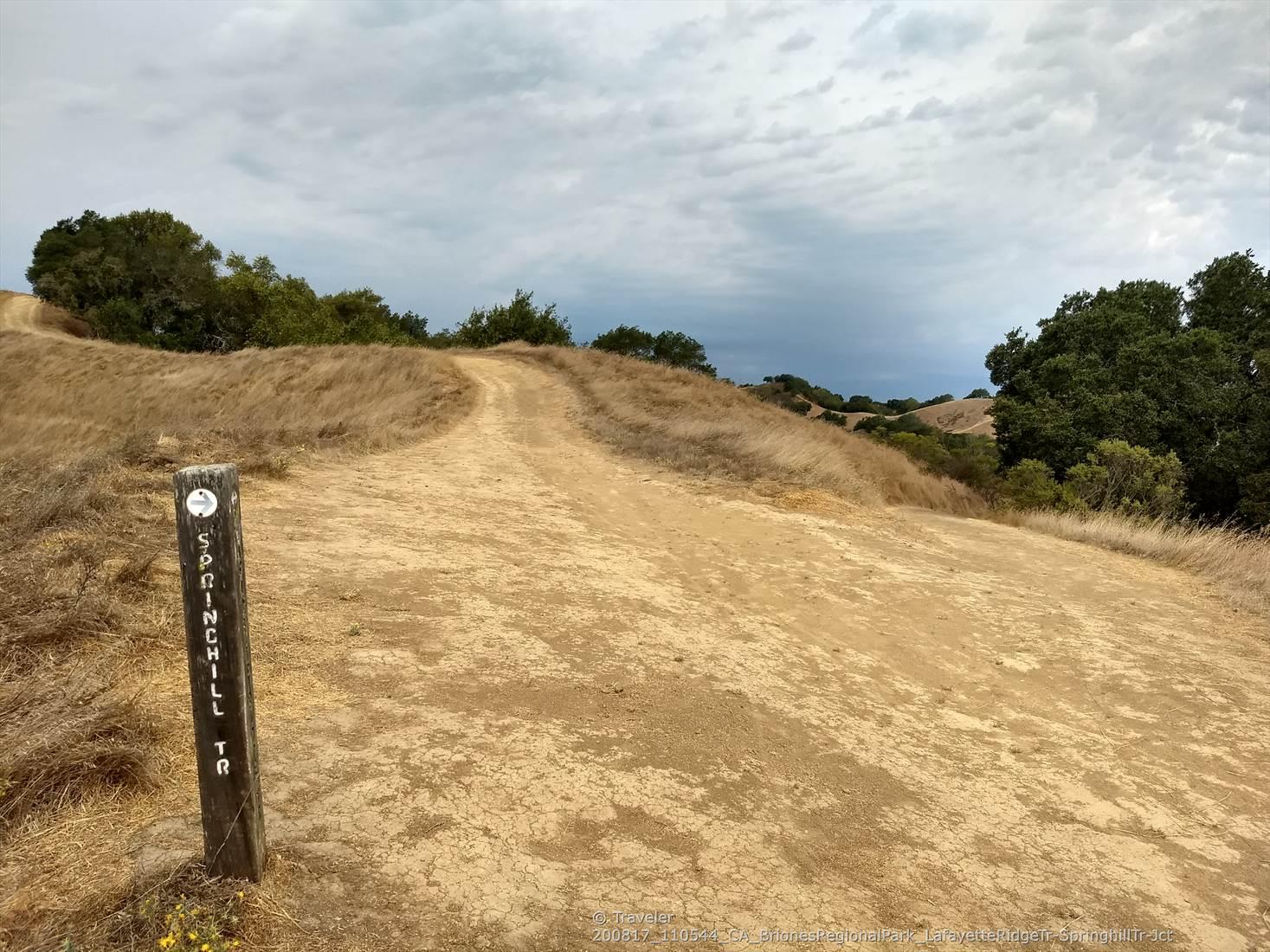 Dirt trail forks uphill next to a wooden signpost, surrounded by dry grass.