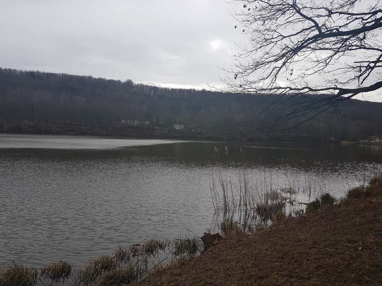 Vatteröder Teich Wanderungen und Rundwege komoot