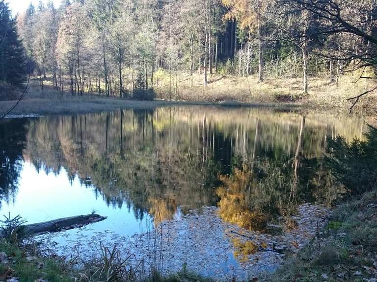 Schwarzer Teich MountainbikeTouren und Trails komoot