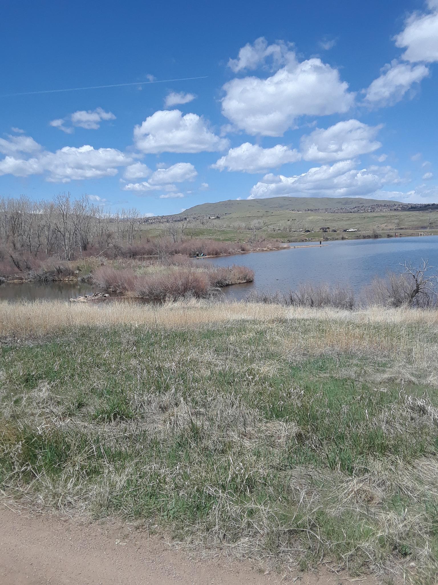 Calm lake with trees and dry grass under a bright blue, cloudy sky.