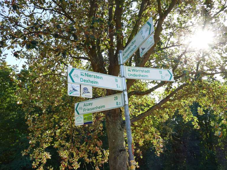 Amiche Radweg: Radtouren und Radwege | komoot