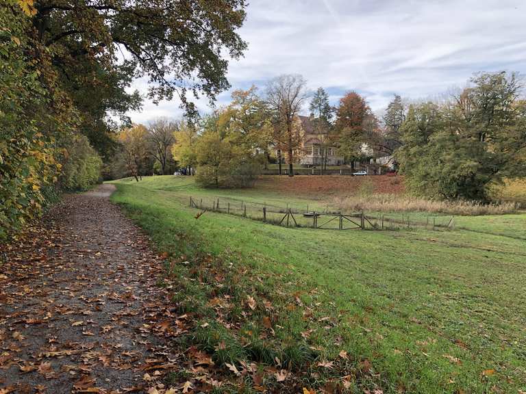 An der Rehwiese Wanderungen und Rundwege komoot