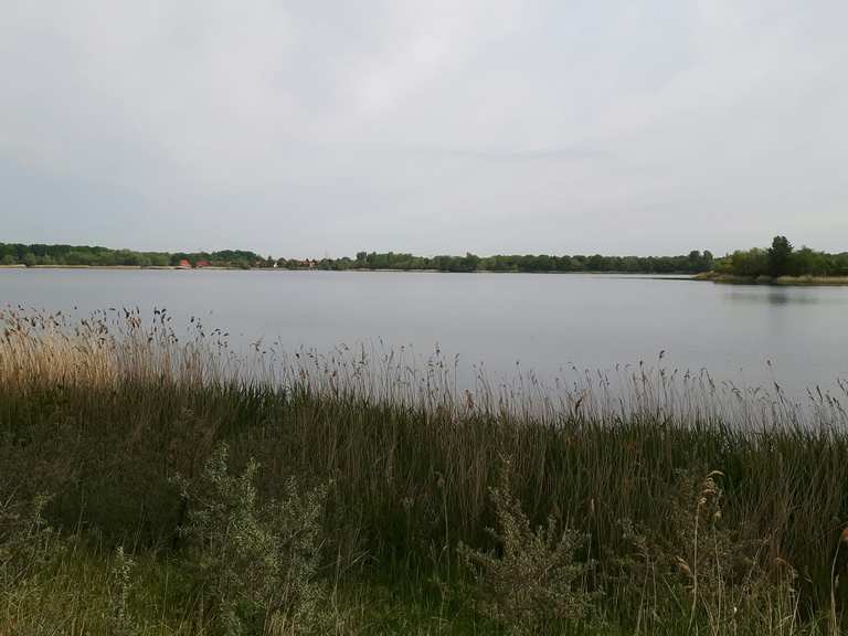 Rattmannsdorfer Teiche Radtouren und Radwege komoot