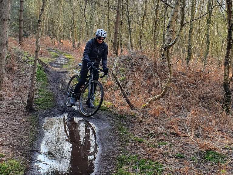 Viking mtb shop trail