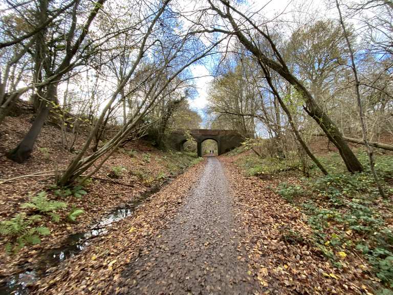 Forest Way Country Park – Over old Railroads Runde von East Grinstead ...