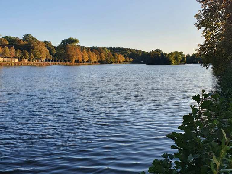 Teichpromenade Blaue Flut Wanderungen und Rundwege komoot