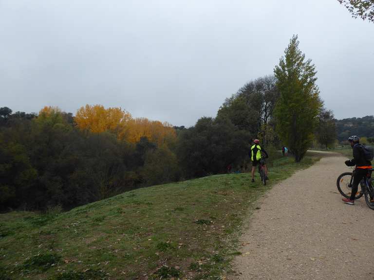 Rutas en bici discount por el pardo