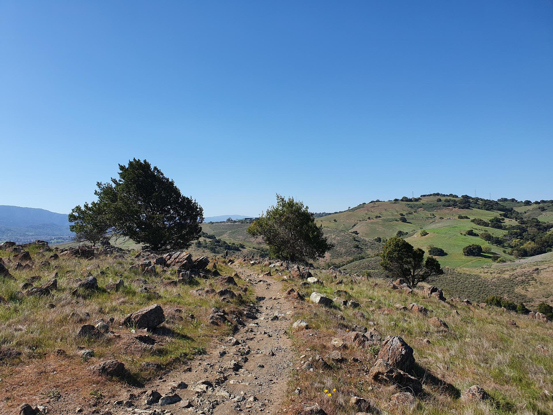 Dirt trail winding through rocky, grassy hills with scattered trees.