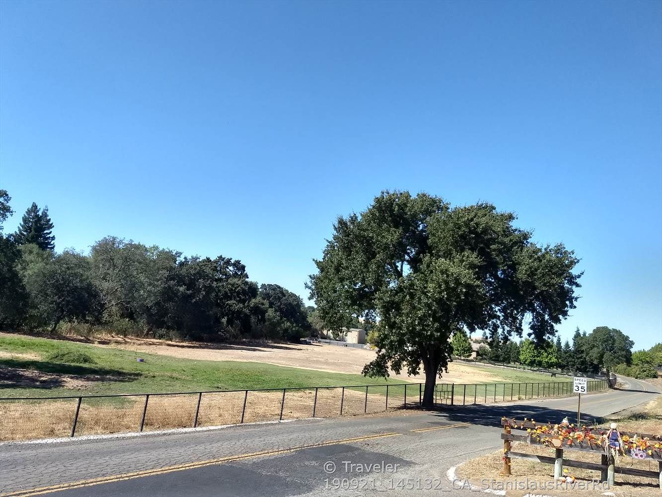 Bright daylight illuminates a large tree beside a road and grassy field. - Orange Blossom Road – Horseshoe Road Recreation Area loop from Oakdale