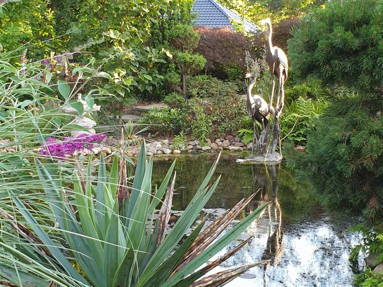 Koi Garten Burg Spreewald Dahme Spreewald Wandertipps Fotos Komoot