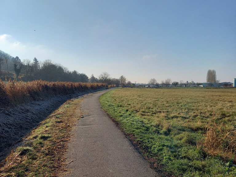 fahrrad weingarten baden