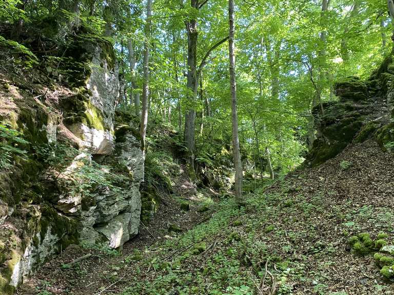 Moosfelsen-Schlucht Routes for Walking and Hiking | Komoot
