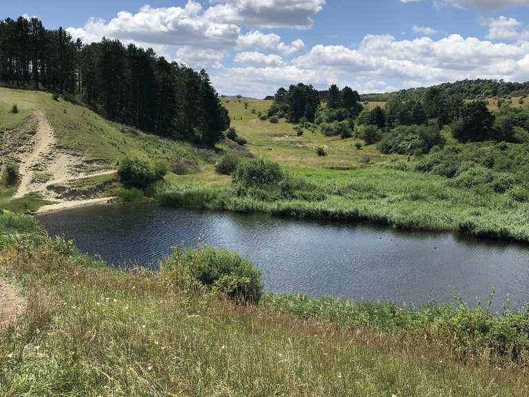 Giesener Teiche Mountain Bike Trails & Tracks Komoot