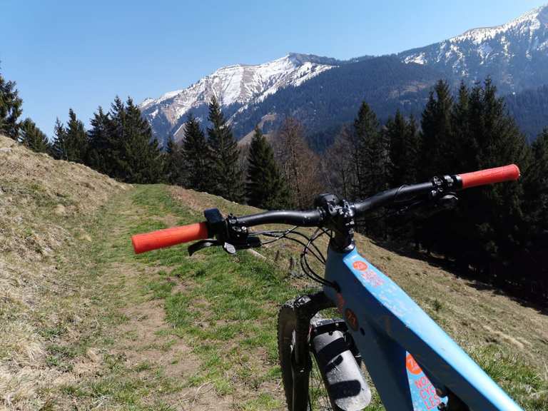 singletrail vorarlberg