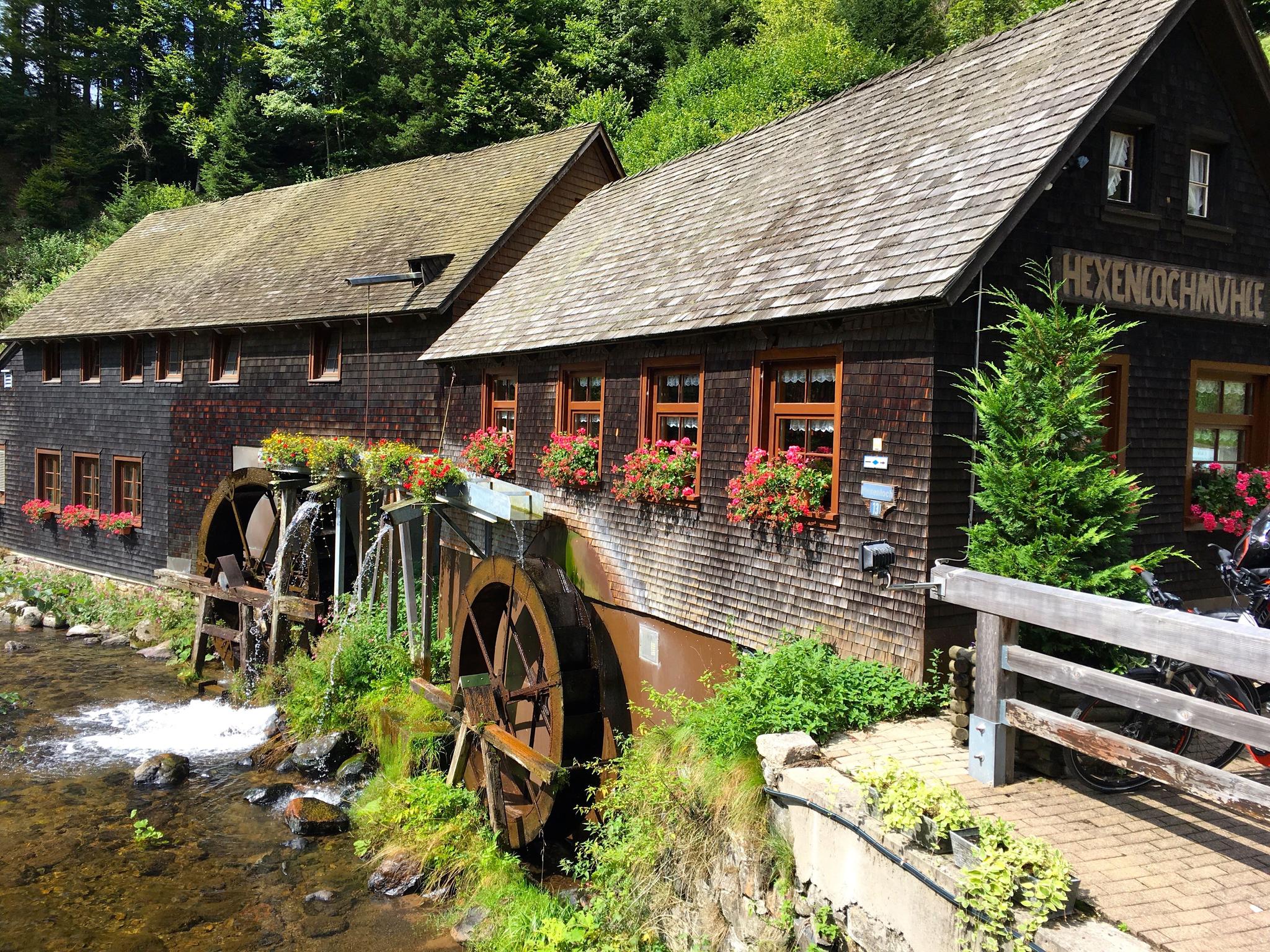 Balzer Herrgott-Runde Bei Gütenbach – Qualitätstouren Im Schwarzwald ...