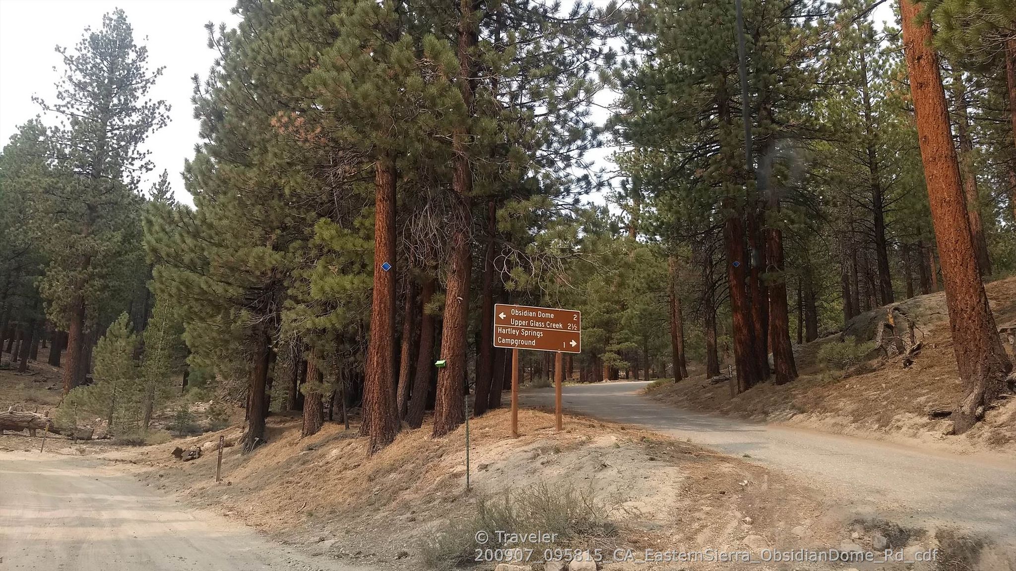 Dirt road forks in a dense pine forest with a brown wooden sign. - Obsidian Dome Loop Road