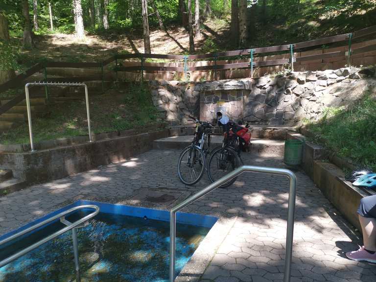 Blick nach Kirkel Glashütter Weiher Runde von Hassel