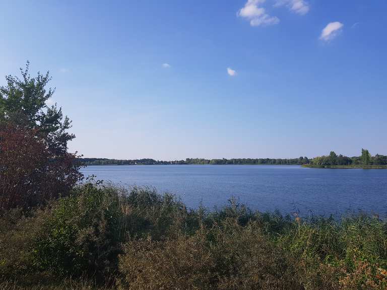49+ Rattmannsdorfer Teiche Baden, Auf folgende fischarten konnten