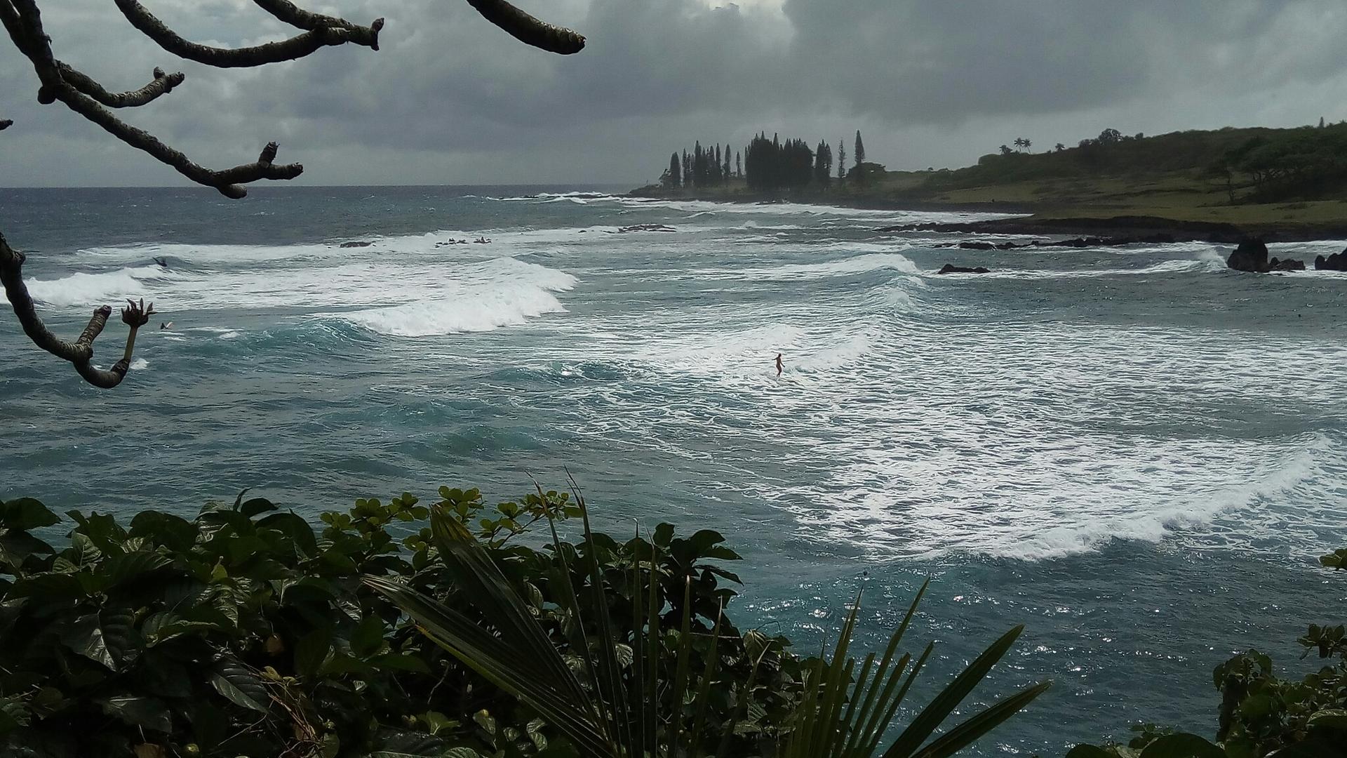 Overcast ocean view with a surfer riding a wave, green foliage.