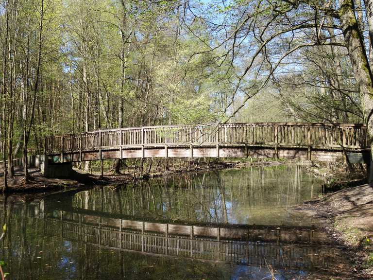 Wupatzsee – Löcknitz Loop From Erkner 