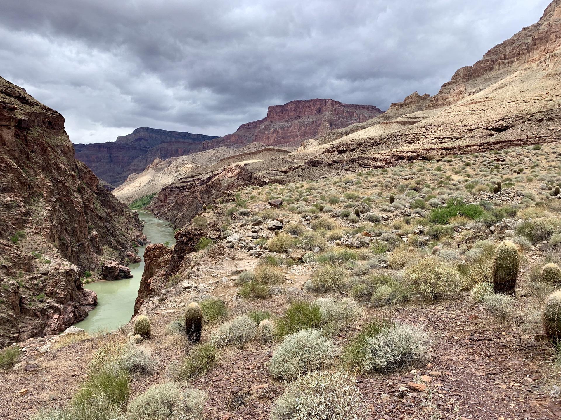 Overcast sky above a wide canyon with a green river and desert plants.