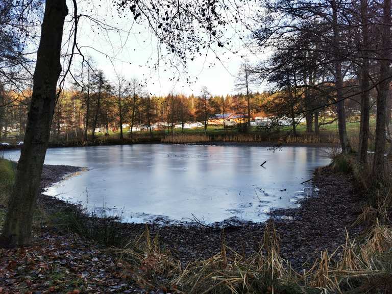 Schönsee Routes for Walking and Hiking | Komoot