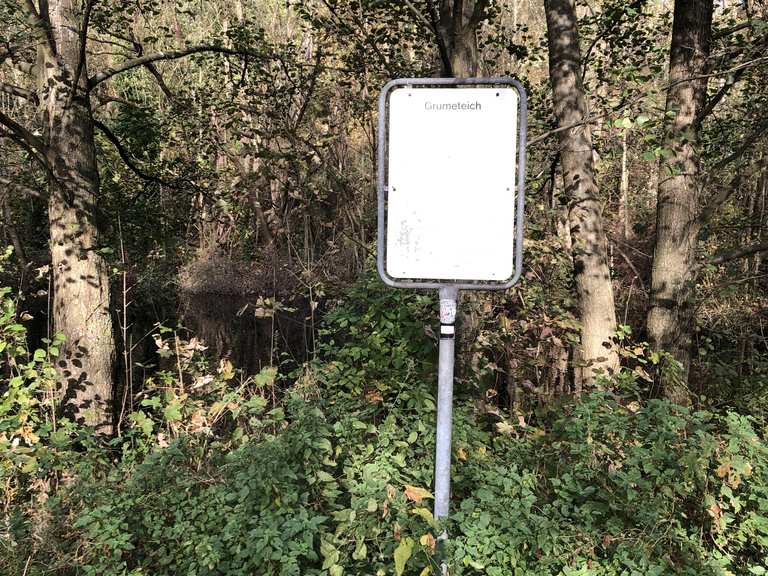 Grummer Teiche Radtouren und Radwege komoot