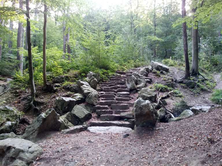 Belle montée vers la source de la Géronstère Itinéraires de rando et marche Komoot